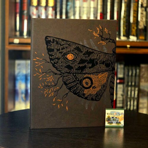 Sleeping Beauties CD Limited Edition Art Portfolio #735