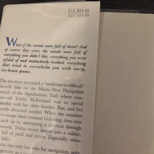 Stephen King The Girl Who Loved Tom Gordon First Edition / First Printing